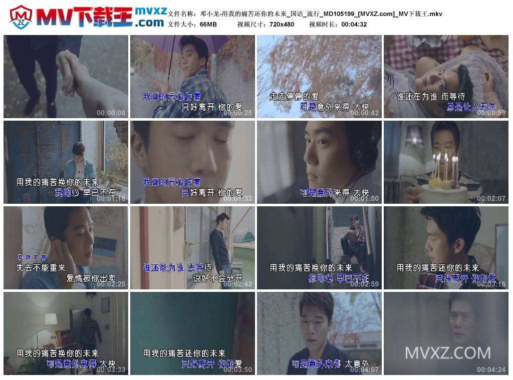 邓小龙-用我的痛苦还你的未来_国语_流行_MD105199